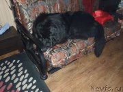 Превью фото № 171621