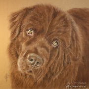 Превью фото № 171622