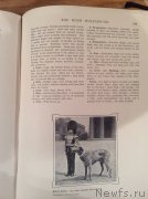 Превью фото № 171746