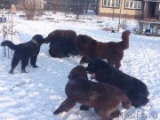 Превью фото № 171754