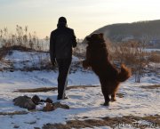 Превью фото № 171796