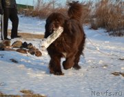 Превью фото № 171798