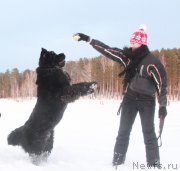 Превью фото № 171820