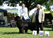 Превью фото № 171871