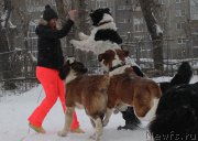 Превью фото № 172010