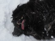 Превью фото № 172013