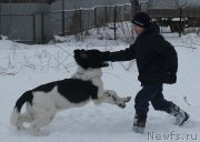 Превью фото № 172040