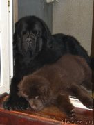 Превью фото № 172126