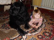 Превью фото № 172238