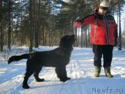 Превью фото № 172241