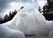 Превью фото № 172265