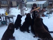 Превью фото № 172566