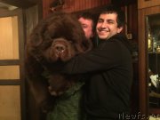 Превью фото № 172569