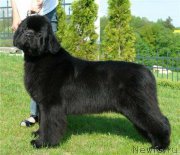 Превью фото № 172580