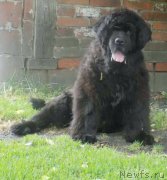 Превью фото № 172583