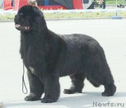 Превью фото № 172585