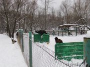 Превью фото № 172615