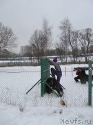 Превью фото № 172618