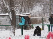 Превью фото № 172619