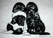 Превью фото № 172647