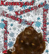 Превью фото № 172759