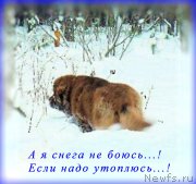 Превью фото № 172781