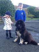 Превью фото № 172938