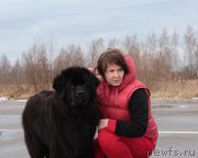 Превью фото № 172945