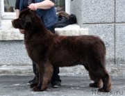 Превью фото № 172950