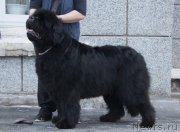 Превью фото № 172951