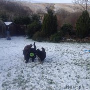 Превью фото № 172996