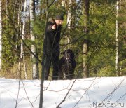 Превью фото № 173042