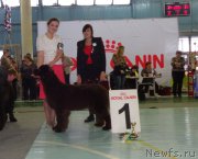 Превью фото № 173061