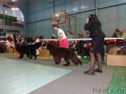 Превью фото № 173064