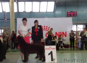 Превью фото № 173067