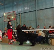 Превью фото № 173069