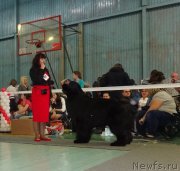 Превью фото № 173070