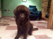 Превью фото № 173077