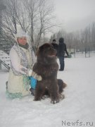 Превью фото № 173085