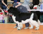 Превью фото № 173129