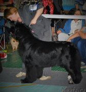 Превью фото № 173139