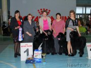 Превью фото № 173141