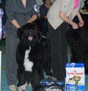 Превью фото № 173145