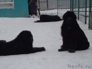 Превью фото № 173240