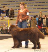 Превью фото № 173380