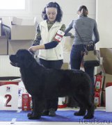 Превью фото № 173385