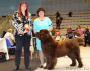 Превью фото № 173386