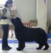 Превью фото № 173407