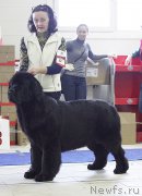 Превью фото № 173408