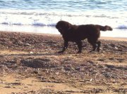 Превью фото № 173412